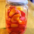 クックDAD's cooksnap of when they made 簡単！ラディッシュとパプリカの甘酢漬け.