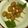 ななこ２２'s cooksnap of when they made 玉こんにゃく煮☆.