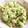 むぃ♪'s cooksnap of when they made 白菜のわさマヨ和え.