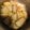 ｑｕｉｃｏ's cooksnap of when they made 簡単！！里芋の皮むき煮物.