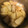 ｑｕｉｃｏ's cooksnap of when they made 簡単！！里芋の皮むき煮物.