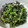 ☆じゅげむ☆彡's cooksnap of when they made ほうれん草のごまだれあえ.