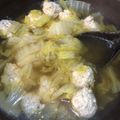 すのゆ's cooksnap of when they made ☆レンコンつくねと白菜の煮物☆.