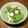 KAMPI's cooksnap of when they made 簡単！ほうれん草生ハムサラダ.