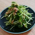 のうっちー's cooksnap of when they made 豆苗とツナのサラダ.