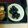 ナギヤ1114's cooksnap of when they made ふっくらツヤツヤ☆黒豆.