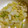 りゅう坊ちゃん's cooksnap of when they made 白菜のナムル？白菜の中華風ごま和え.