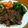 梅っ子梅吉's cooksnap of when they made カンガルー・ステーキ（オーストラリア）.