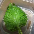 えみえみ77's cooksnap of when they made 摘みたてよりシャッキリ⁈大葉の保存方法.