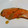 ぽむち。♪'s cooksnap of when they made 鮭のやわらか…てりてり照り焼き★.