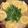 CAlove's cooksnap of when they made さっぱり美味しい塩レモン鍋.