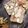 eri0416's cooksnap of when they made パテ・ド・カンパーニュ.