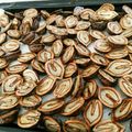 いちみの☆'s cooksnap of when they made 鬼胡桃の割り方（覚書）.