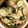 クック87R88F☆'s cooksnap of when they made ツナとワカメときゅうりの酢の物.
