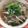 cucupa's cooksnap of when they made 味噌ラーメン風ワカメうどん.