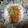 kiddy178's cooksnap of when they made もやしと色々野菜の中華風サラダ.