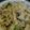 せつせつせつ's cooksnap of when they made ブロッコリーとひき肉の豆乳クリームパスタ.
