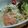 かなニャンコ's cooksnap of when they made 白身魚のグラタン風～オーロラソース添え～.