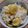 *suzuko*'s cooksnap of when they made 絶品！塩麹が決め手♥ほっくほく栗ご飯♪.