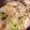みれしゅん's cooksnap of when they made 失敗知らず！絶品★白だしあんかけ野菜炒め.