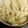 ぼーたまま's cooksnap of when they made 鍋ひとつでツナポテトサラダ.