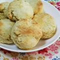 クックZTZKGS☆'s cooksnap of when they made おからクッキー&おからスコーン.