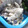 ぱど☆ちょ's cooksnap of when they made しめじのマヨネーズ和え.