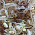 ふぁんたにゃん's cooksnap of when they made だしが決め手★簡単★もやしのおひたし.