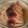 さくらんbo's cooksnap of when they made 鶏手羽元と大根の煮物♪旨味だし仕立て.