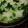 tanumaru62's cooksnap of when they made ☆土鍋で七草粥☆.