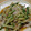 そゆあ♪'s cooksnap of when they made 豚・きゅうり・みょうがの和え物.