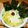 エルとキク's cooksnap of when they made 風邪ひきさんの、あんかけうどん.