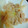 クッキングホチョ's cooksnap of when they made 簡単豚の生姜焼き.