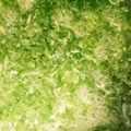 ｽｶｲﾌｨｯｼｭ☆'s cooksnap of when they made 離乳食★ほうれん草のしらす和え♫♬.