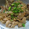 メーさん's cooksnap of when they made *簡単どんぶり！生姜焼どんぶり*.