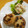 fromKY♪'s cooksnap of when they made レンコンのはさみ焼きと里芋のサラダ.
