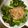 ナベさん☆'s cooksnap of when they made ほうれん草のポン酢炒め.