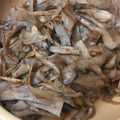 kimimaruo's cooksnap of when they made レモン香る♪ごぼうと舞茸の磯バタソテー.