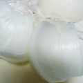ぽぴぽぴ's cooksnap of when they made 玉ねぎ「少量」の切り方.