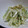 春なし's cooksnap of when they made 簡単♪じゃが芋のかつおマヨあえ。.