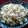 ZUBORA♡妻's cooksnap of when they made 茹で小豆の皮入りご飯.