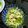 Ruri03's cooksnap of when they made 旬の柔らか水菜をツナ入りドレッシングで.