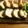井のママ's cooksnap of when they made おせち　鶏ひき肉の昆布巻き.