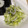 kinako10's cooksnap of when they made キャベツときゅうりのゆかり和え.