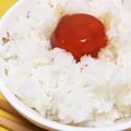 Nya6nya6's cooksnap of when they made 卵黄の醤油漬け.
