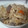yupiyupiyupi's cooksnap of when they made ♪秋の五目炊き込みごはん♪.