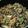 makitoshi7's cooksnap of when they made ➏　おからの炊いたん　➏.
