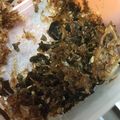 はるか＊ワーママ's cooksnap of when they made だしがら再利用＊サラサラかつおふりかけ.