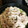 maria111's cooksnap of when they made タジン鍋で蒸し豚・蒸し野菜　.