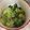 ほうママ107's cooksnap of when they made 保育園給食★チンゲン菜のナムル.